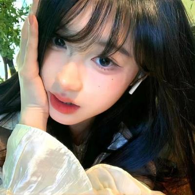 完美伴侣