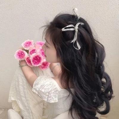 泰山王子
